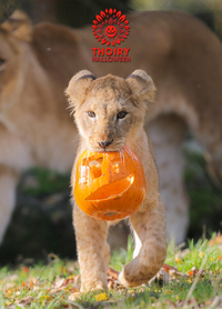 Halloween au Zoo de Thoiry