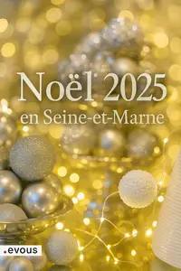 Marchés de Noël en Seine-et-Marne